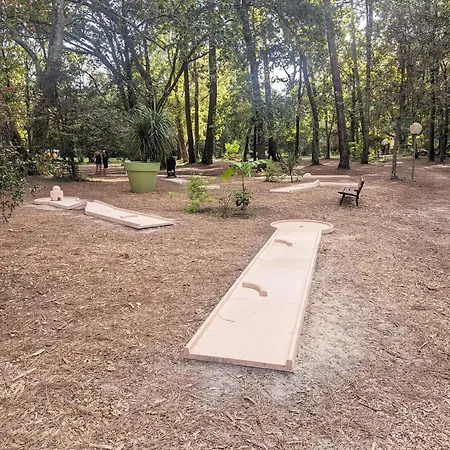 200m De La Luxe De 44m2 Menage Et Draps Inclus 5 Etoiles Mayotte Koyobalys Biscarrosse